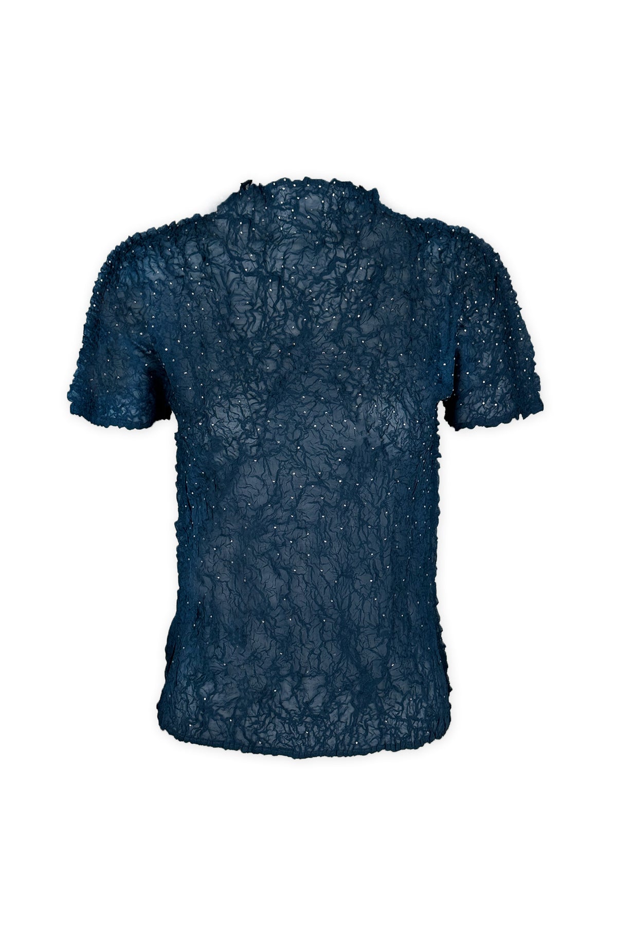 Astra Crystal Chiffon Crunch Texture Top