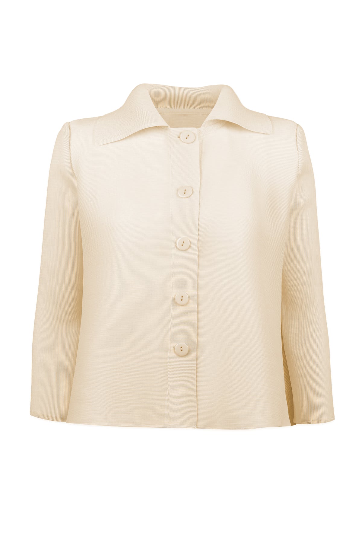 Eleanor Crystal Pleats Blouse