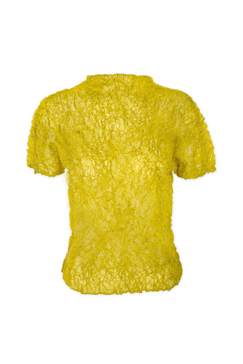 Astra Crystal Chiffon Crunch Texture Top