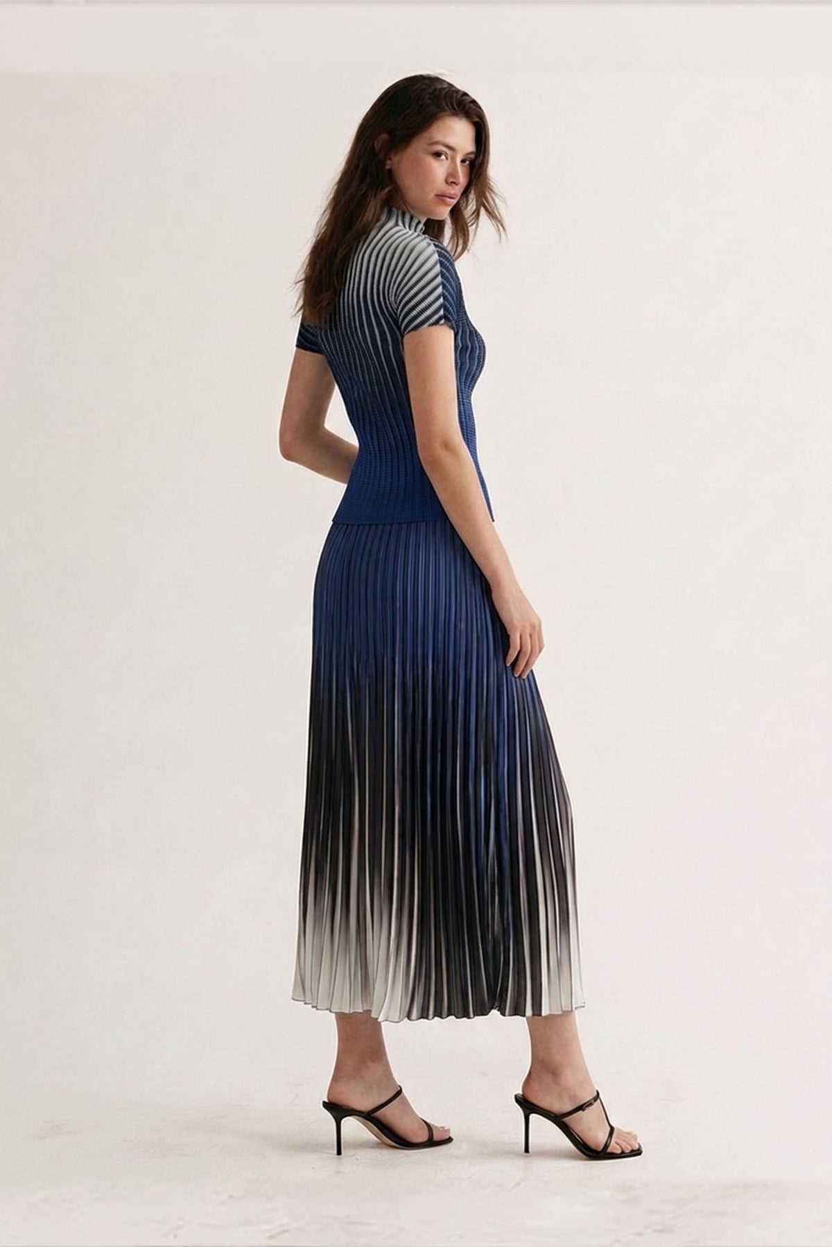 Clara Rainstroke Pleated Skirt