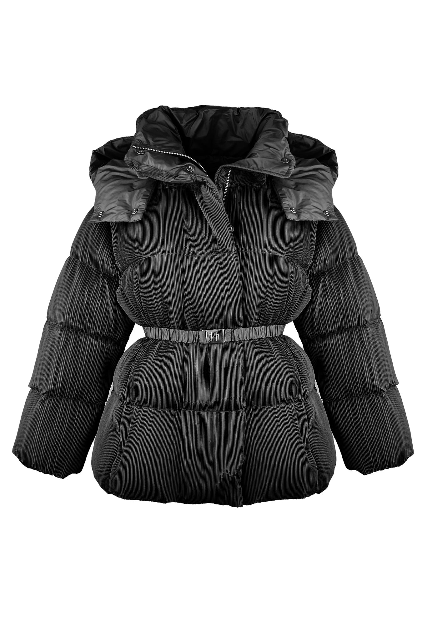 Emily Down Goose Plissé Puff Jacket – WILD COSMOS