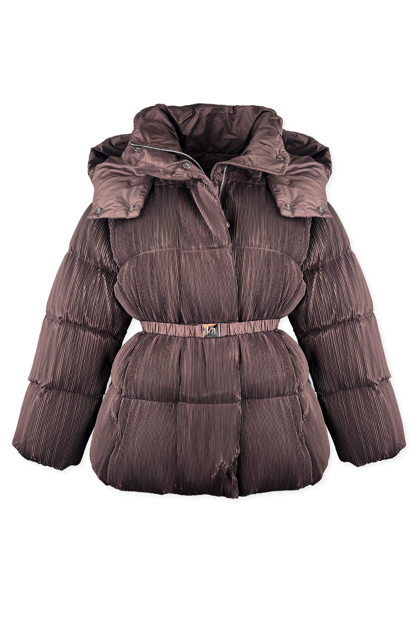 Emily Down Goose Plissé Puff Jacket – WILD COSMOS