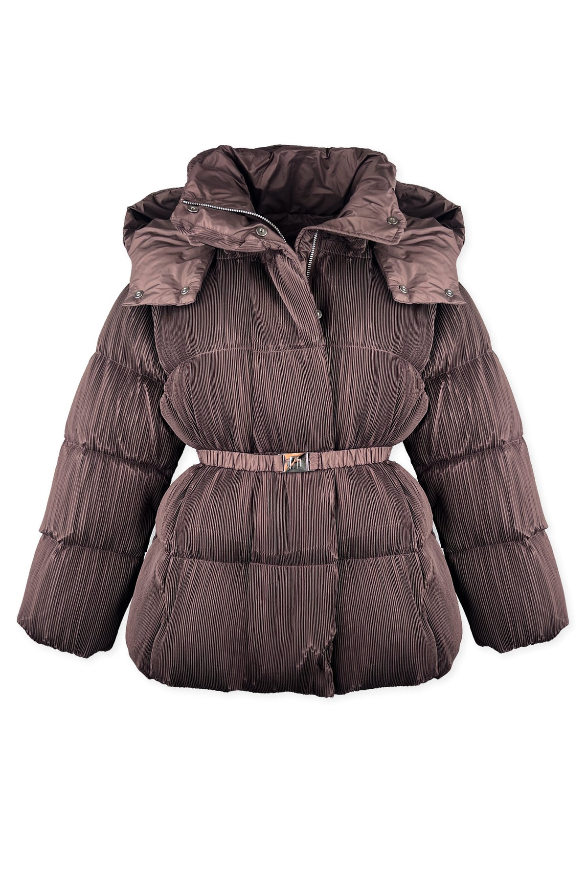 Emily Down Goose Plissé Puff Jacket
